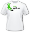 think_python_11.jpg